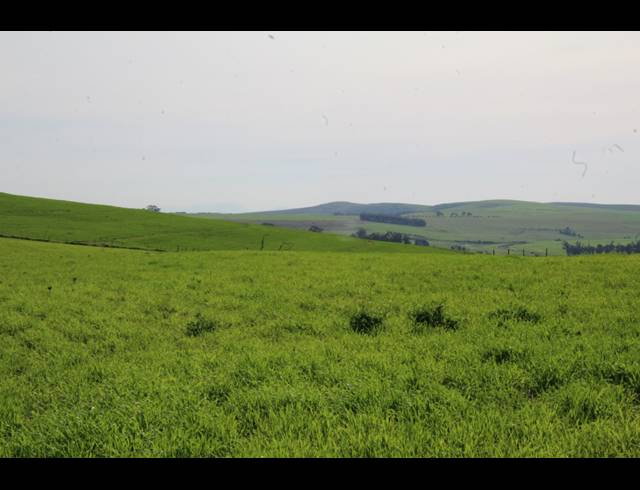 235HA FARM FOR SALE IN MALMESBURY RURAL
